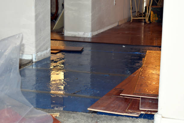 Professional Burst Pipe Water Damage technician working in Pittsburg, KS